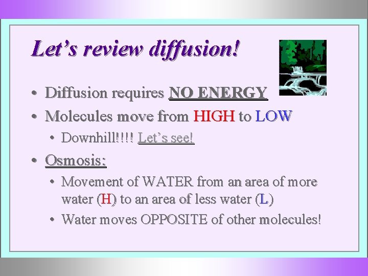 Let’s review diffusion! • Diffusion requires NO ENERGY • Molecules move from HIGH to