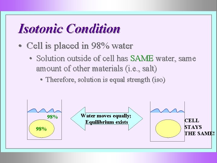 Isotonic Condition • Cell is placed in 98% water • Solution outside of cell