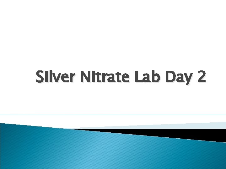 Silver Nitrate Lab Day 2 