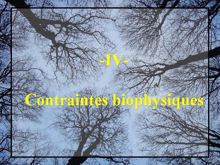 -IVContraintes biophysiques 