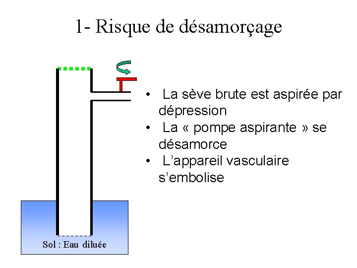 1 - Risque de désamorçage • La sève brute est aspirée par dépression •