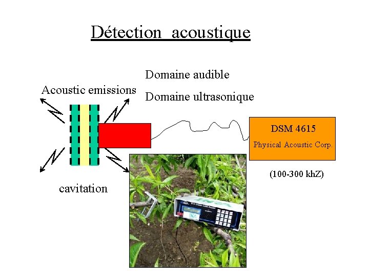 Détection acoustique Domaine audible Acoustic emissions Domaine ultrasonique DSM 4615 Physical Acoustic Corp. (100