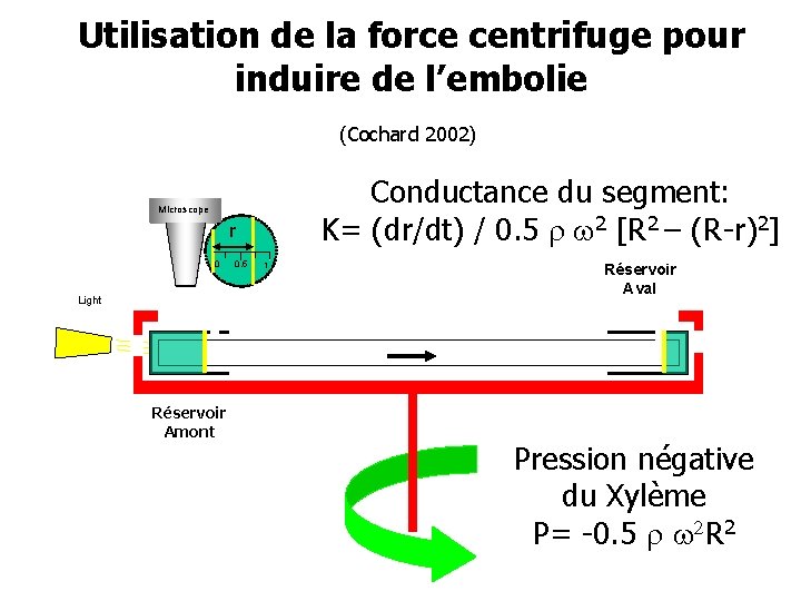 Utilisation de la force centrifuge pour induire de l’embolie (Cochard 2002) Conductance du segment:
