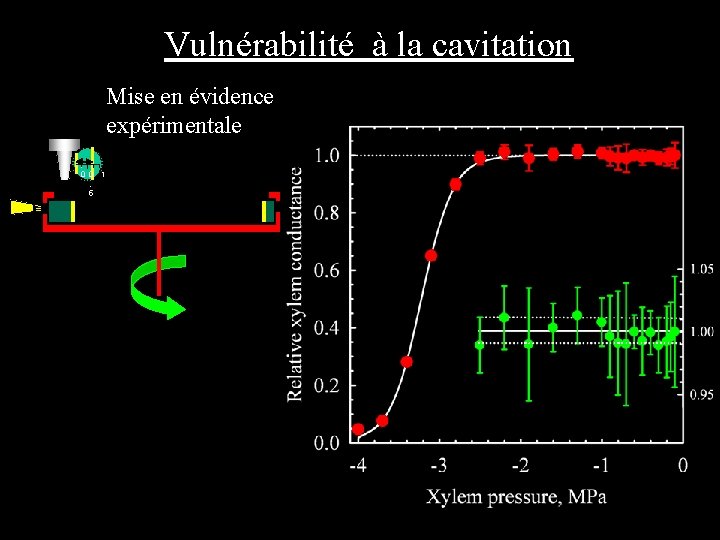 Vulnérabilité à la cavitation Mise en évidence expérimentale 0 0 1. 5 