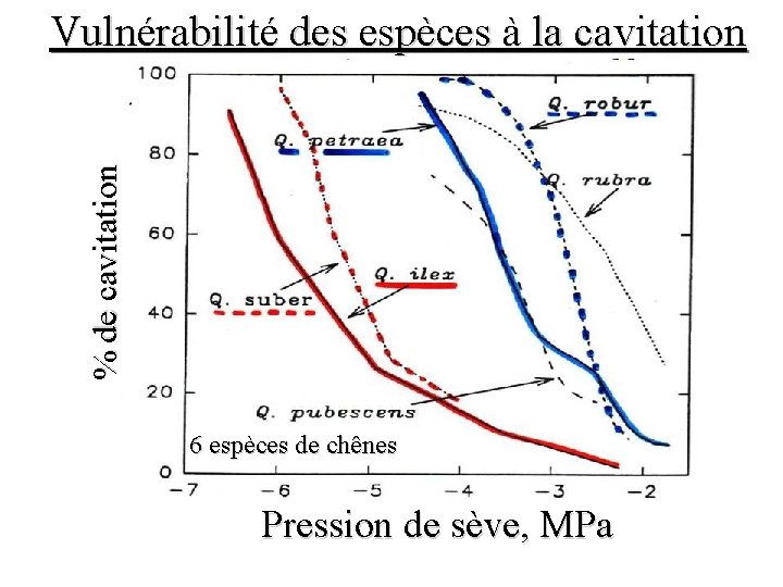 % de cavitation Vulnérabilité des espèces à la cavitation 6 espèces de chênes Pression