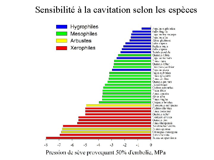 Sensibilité à la cavitation selon les espèces 