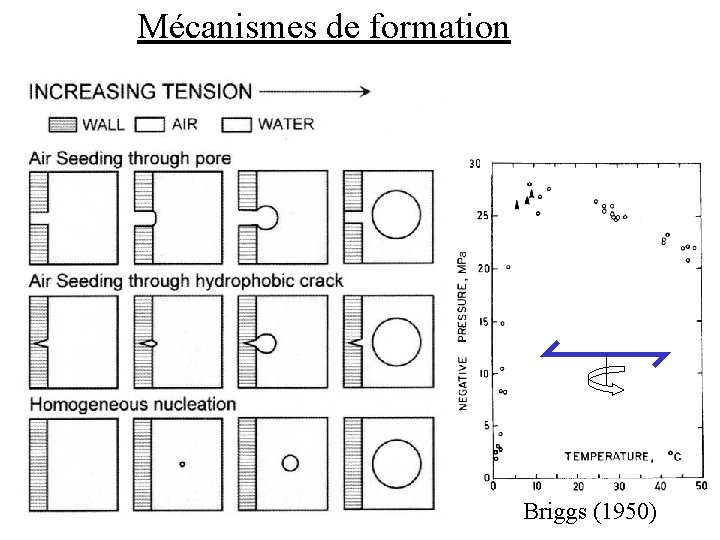 Mécanismes de formation Briggs (1950) 