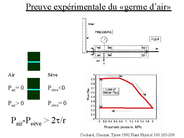 Preuve expérimentale du «germe d’air» Air Sève Pair= 0 Psève<0 Pair> 0 Psève= 0