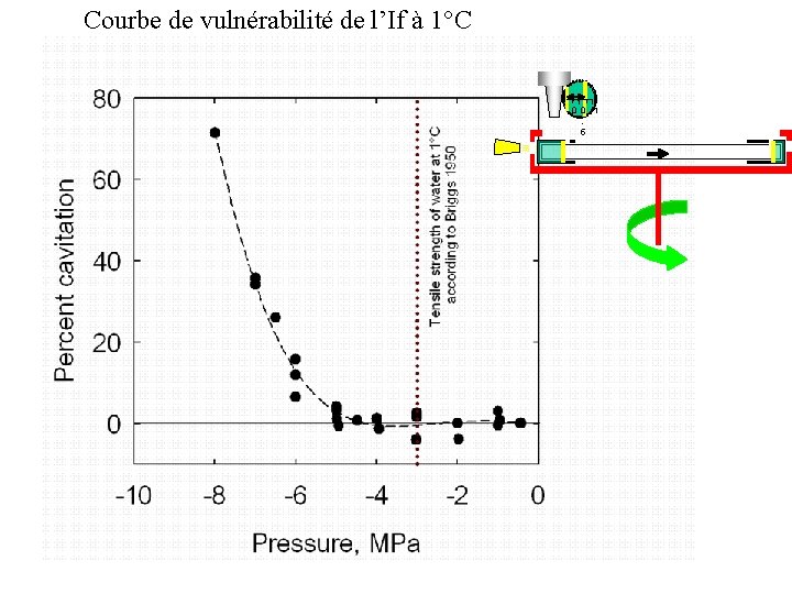 Courbe de vulnérabilité de l’If à 1°C 0 0 1. 5 