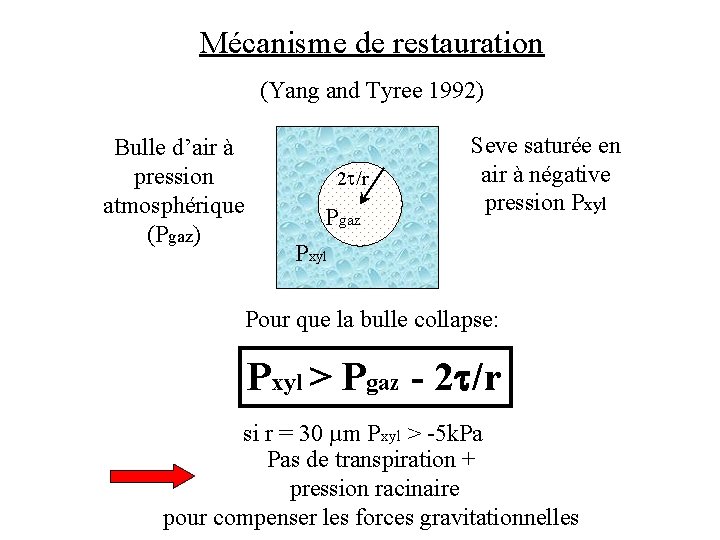 Mécanisme de restauration (Yang and Tyree 1992) Bulle d’air à pression atmosphérique (Pgaz) 2
