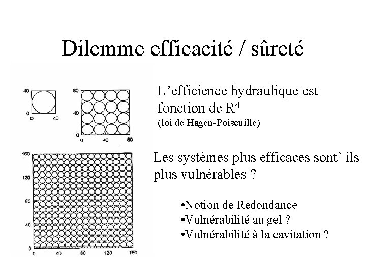 Dilemme efficacité / sûreté L’efficience hydraulique est fonction de R 4 (loi de Hagen-Poiseuille)