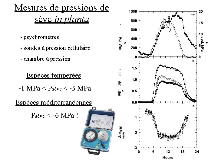 Mesures de pressions de sève in planta - psychromètres - sondes à pression cellulaire