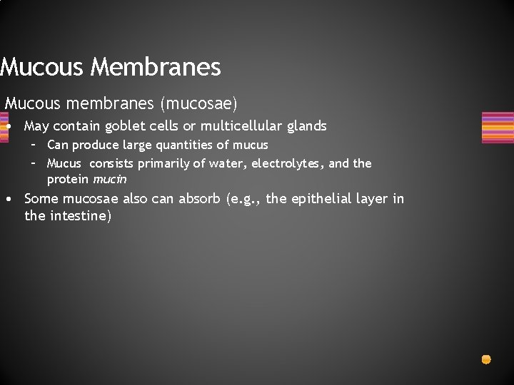 Mucous Membranes Mucous membranes (mucosae) • May contain goblet cells or multicellular glands –