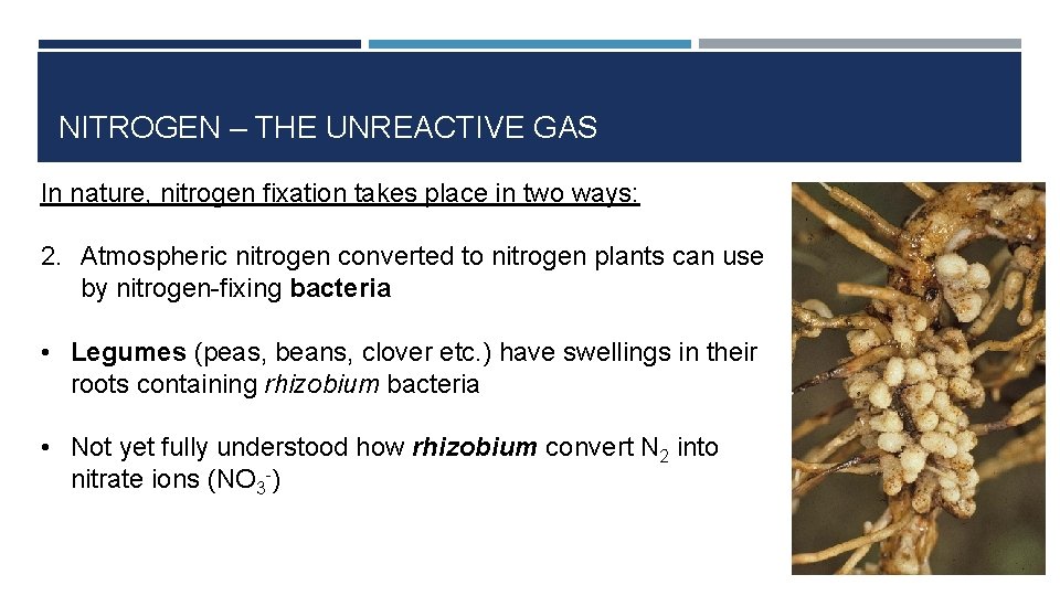 NITROGEN – THE UNREACTIVE GAS In nature, nitrogen fixation takes place in two ways: