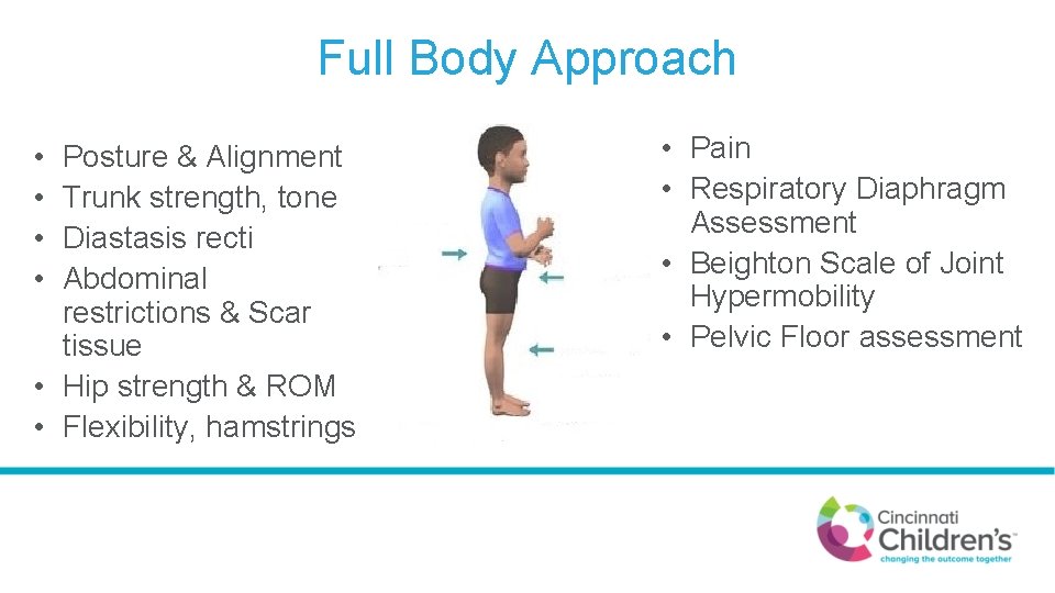 Full Body Approach • • Posture & Alignment Trunk strength, tone Diastasis recti Abdominal
