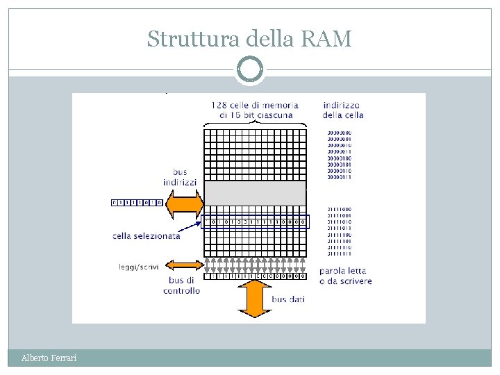 Struttura della RAM Alberto Ferrari 