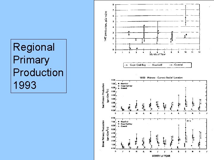 Regional Primary Production 1993 