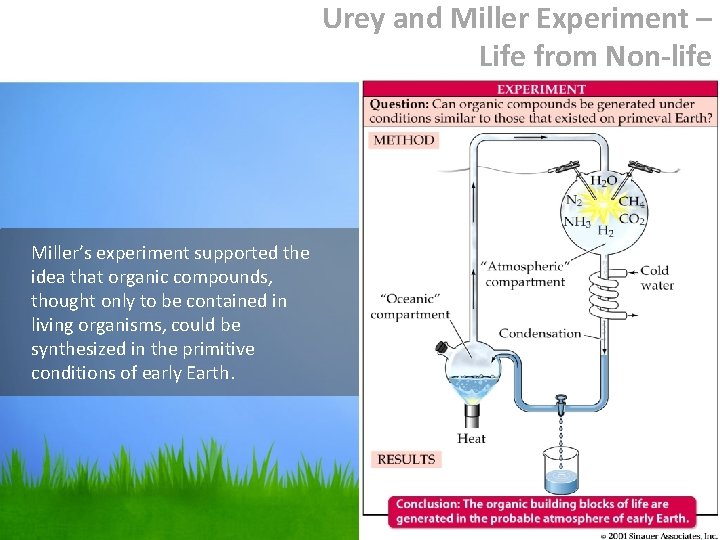 Urey and Miller Experiment – Life from Non-life Miller’s experiment supported the idea that