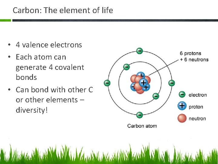 Carbon: The element of life • 4 valence electrons • Each atom can generate