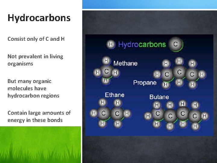 Hydrocarbons Consist only of C and H Not prevalent in living organisms But many