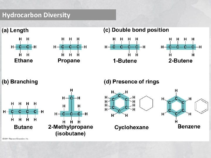 Hydrocarbon Diversity 