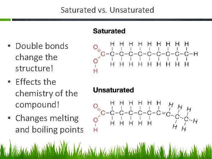 Saturated vs. Unsaturated • Double bonds change the structure! • Effects the chemistry of