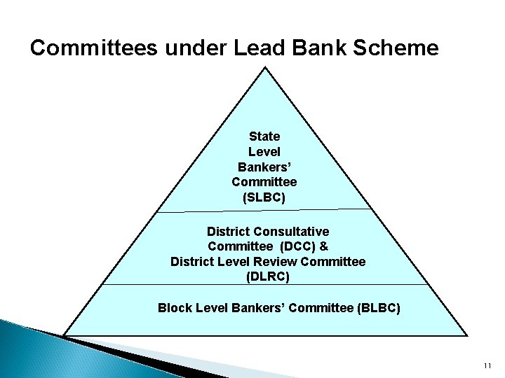 Committees under Lead Bank Scheme State Level Bankers’ Committee (SLBC) District Consultative Committee (DCC)