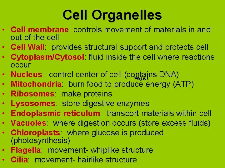 Cell Organelles • Cell membrane: controls movement of materials in and out of the