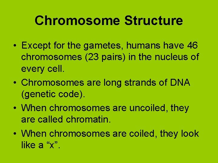 Chromosome Structure • Except for the gametes, humans have 46 chromosomes (23 pairs) in