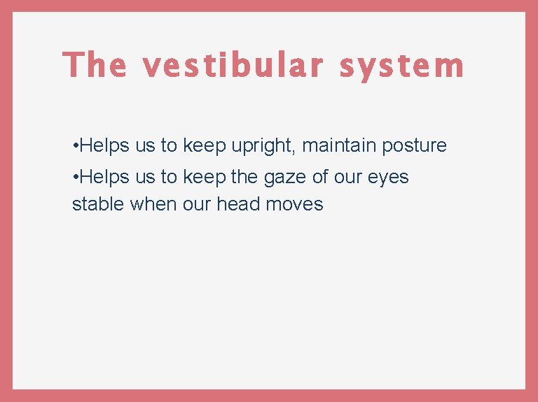 The vestibular system • Helps us to keep upright, maintain posture • Helps us