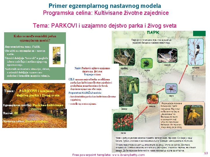 Primer egzemplarnog nastavnog modela Programska celina: Kultivisane životne zajednice Tema: PARKOVI i uzajamno dejstvo