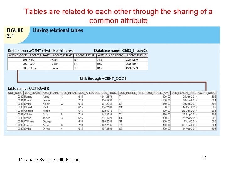 Tables are related to each other through the sharing of a common attribute Database