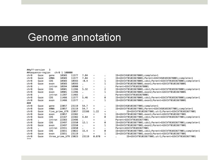 Genome annotation 