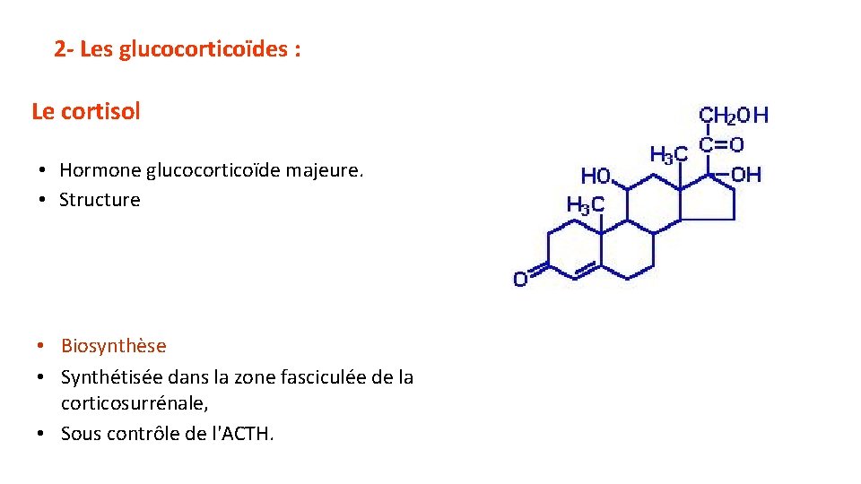 2 - Les glucocorticoïdes : Le cortisol • Hormone glucocorticoïde majeure. • Structure •