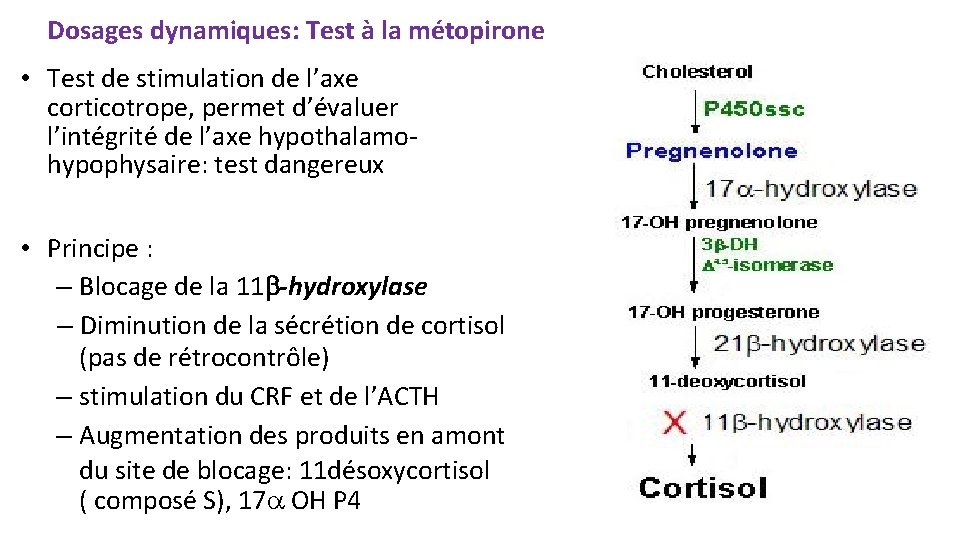 Dosages dynamiques: Test à la métopirone • Test de stimulation de l’axe corticotrope, permet