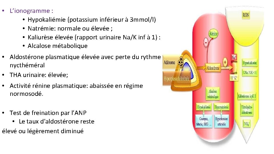  • L’ionogramme : • Hypokaliémie (potassium inférieur à 3 mmol/l) • Natrémie: normale