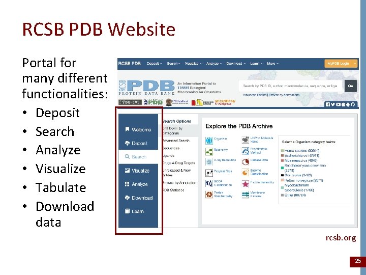 RCSB PDB Website Portal for many different functionalities: • Deposit • Search • Analyze
