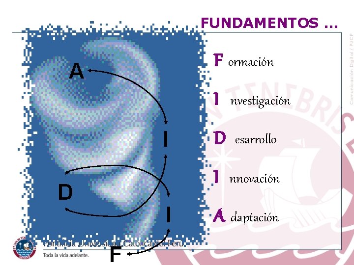 FUNDAMENTOS … F ormación A I D I F I nvestigación D esarrollo I