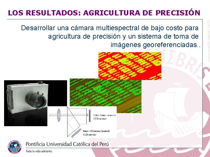 LOS RESULTADOS: AGRICULTURA DE PRECISIÓN Desarrollar una cámara multiespectral de bajo costo para agricultura