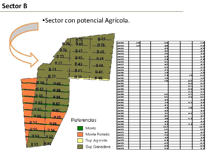 Sector B • Sector con potencial Agrícola. Lote B 39 13. 59 58. 89