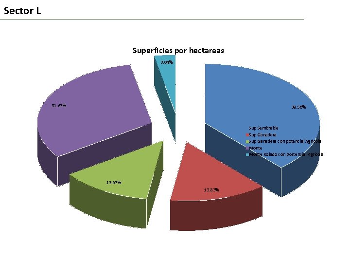 Sector L Superficies por hectareas 3. 04% 31. 67% 38. 50% Sup Sembrable Sup