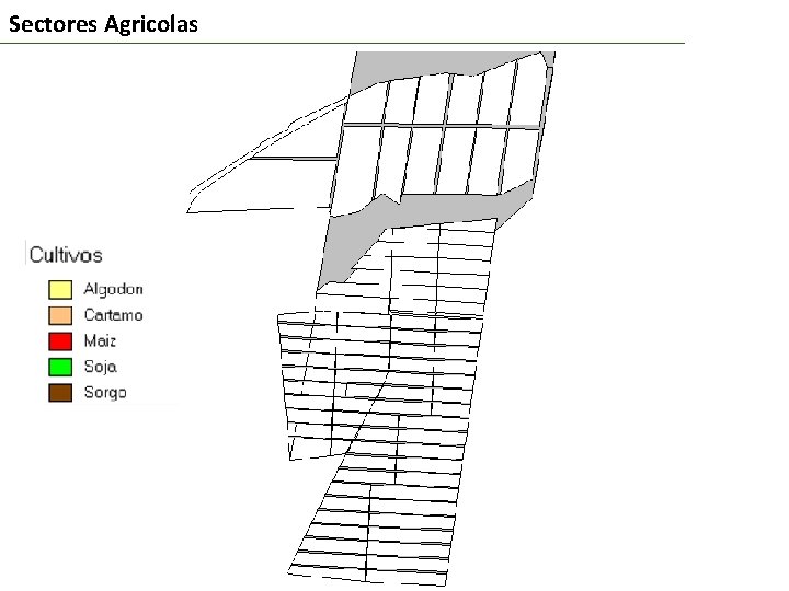 Sectores Agricolas 