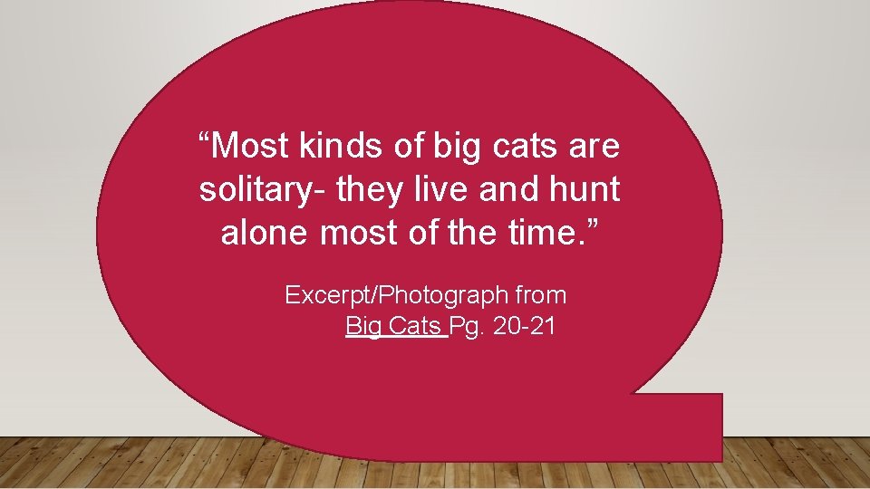 “Most kinds of big cats are solitary- they live and hunt alone most of