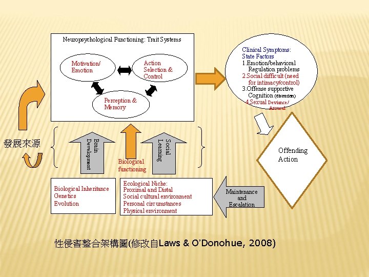 Neuropsychological Functioning: Trait Systems Action Selection & Control Motivation/ Emotion Perception & Memory Biological