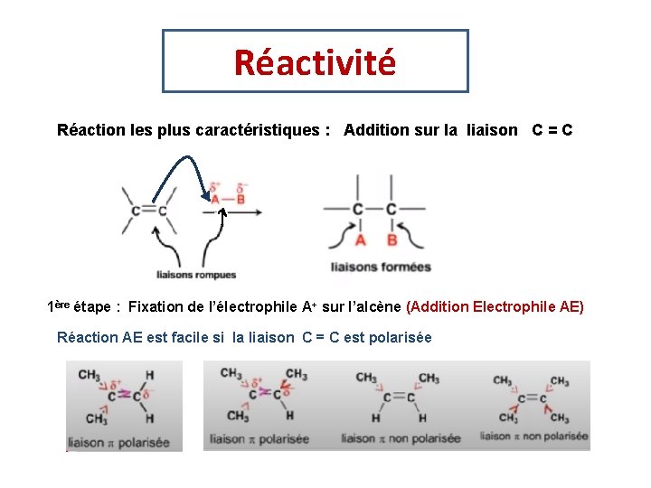Réactivité Réaction les plus caractéristiques : Addition sur la liaison C = C 1ère