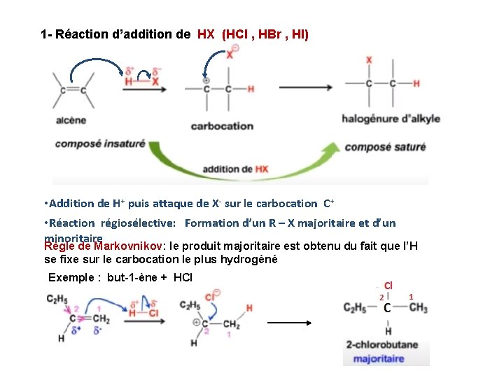 1 - Réaction d’addition de HX (HCl , HBr , HI) • Addition de