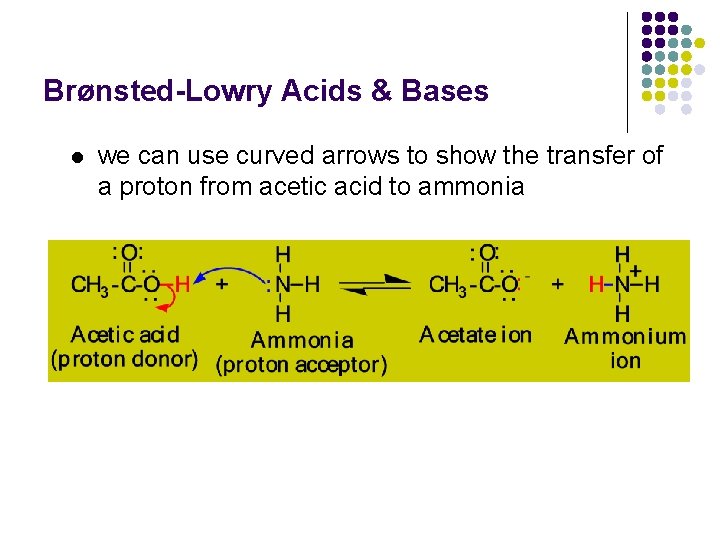 Brønsted-Lowry Acids & Bases l we can use curved arrows to show the transfer