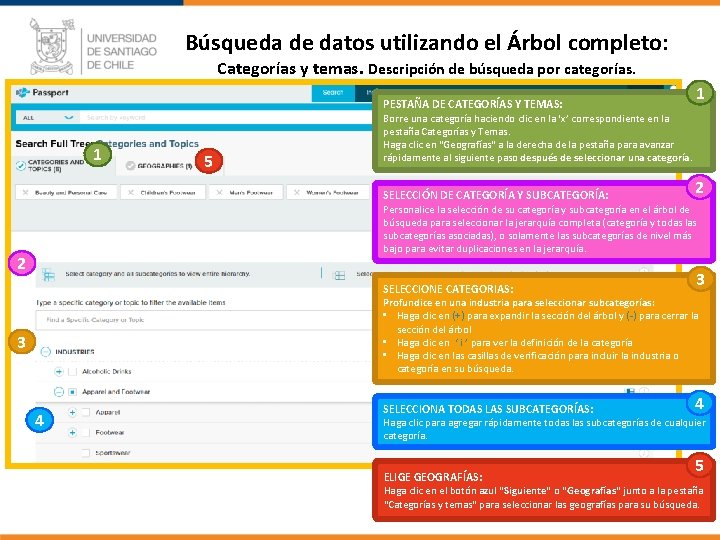 Búsqueda de datos utilizando el Árbol completo: Categorías y temas. Descripción de búsqueda por