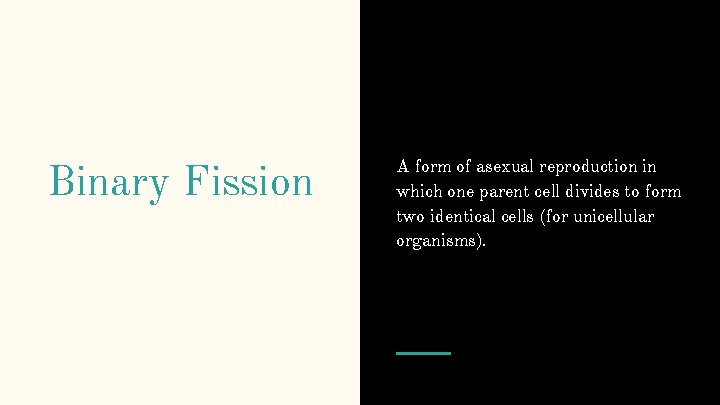 Binary Fission A form of asexual reproduction in which one parent cell divides to