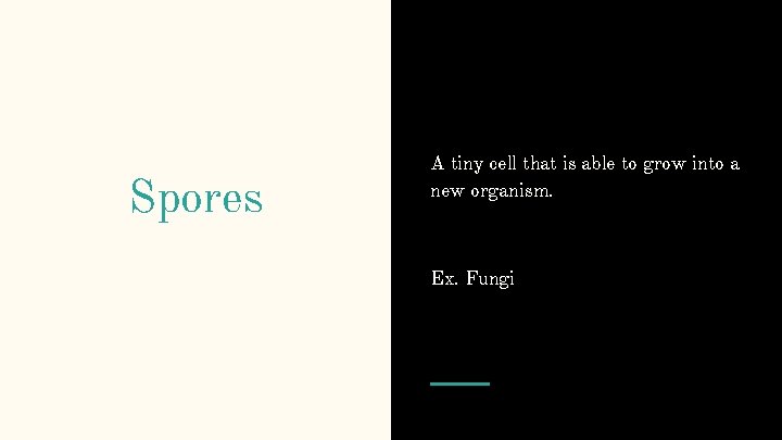 Spores A tiny cell that is able to grow into a new organism. Ex.